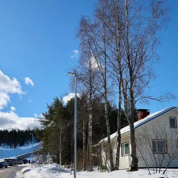 SportHome, hotel in Rovaniemi