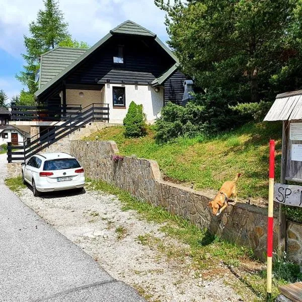 Chalet Anita Rogla, hotel in Zreče