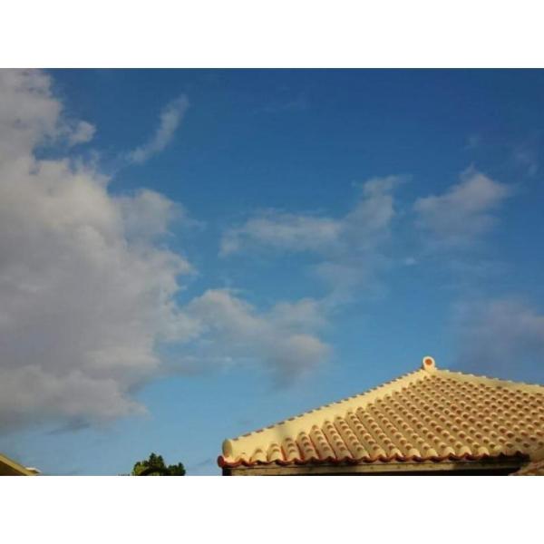 Ishigaki - House / Vacation STAY 35337