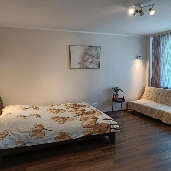 NarvaCenter 2, рядом с границей,位于纳尔瓦的酒店