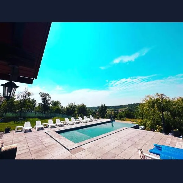 Agropensiunea Colev, hotel in Stremţ