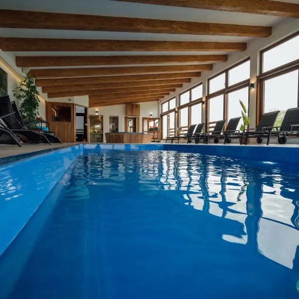 Kotyogó Panzió, hotel in Lupeni