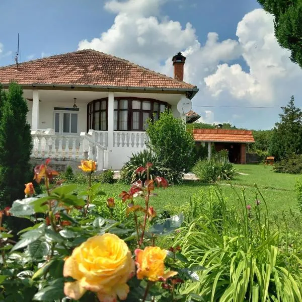Apartmani Ćosić, hotel em Kuršumlija