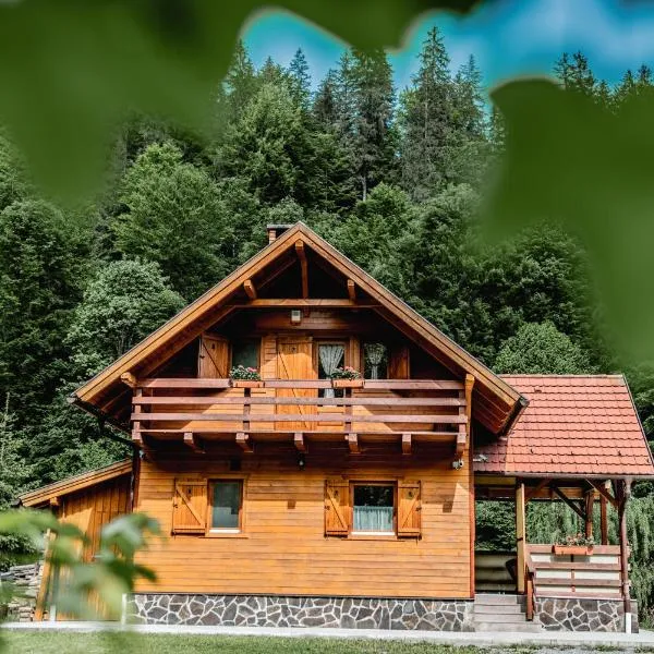 Central Chalet, hotel in Vărşag