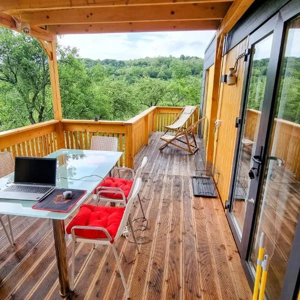 Căsuța de la luncă, hotel in Cireşu