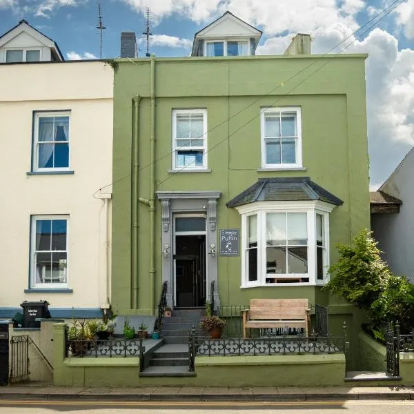 Sleepy Puffin Guest House, hotel in Tenby
