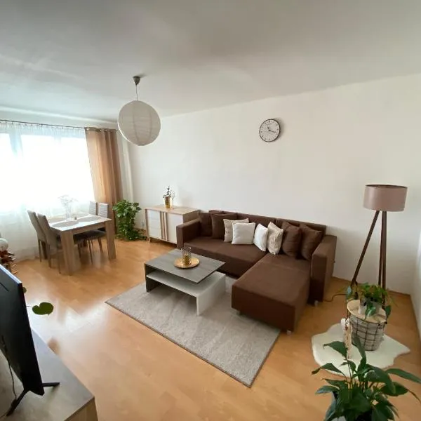 Apartman Lienka FREE PARKING CITY CENTRE, hotel v destinaci Trenčín