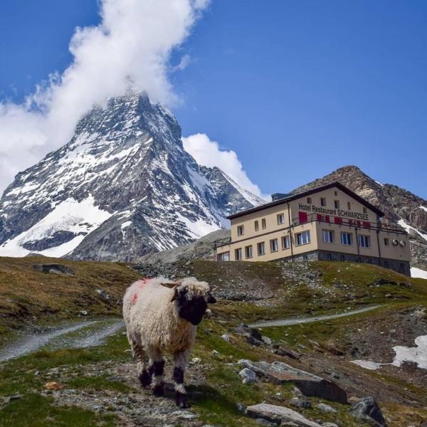 Hotel Schwarzsee, Zermatt