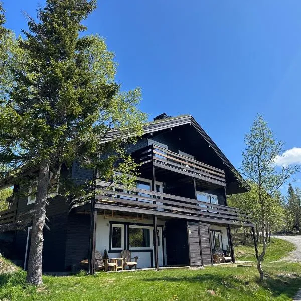 SKI INN/OUT - 4-room apartment w/3 bedroom, hotel in Gaustablikk