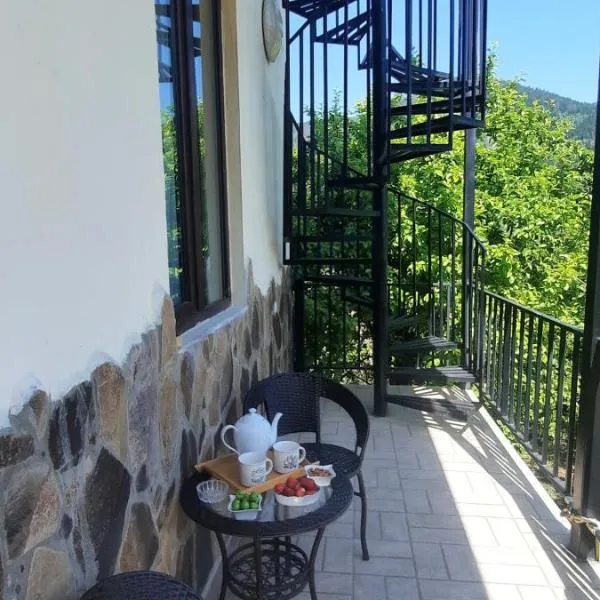 Guest House Bochora, hôtel à Bordjomi