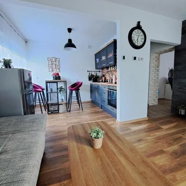 Apartman Twins Self Check in & Self Check Out, Hotel in Otočac