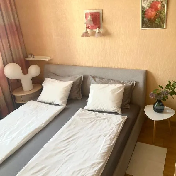 Apartment Dzelzavas19/3, Riga, ξενοδοχείο στη Ρίγα