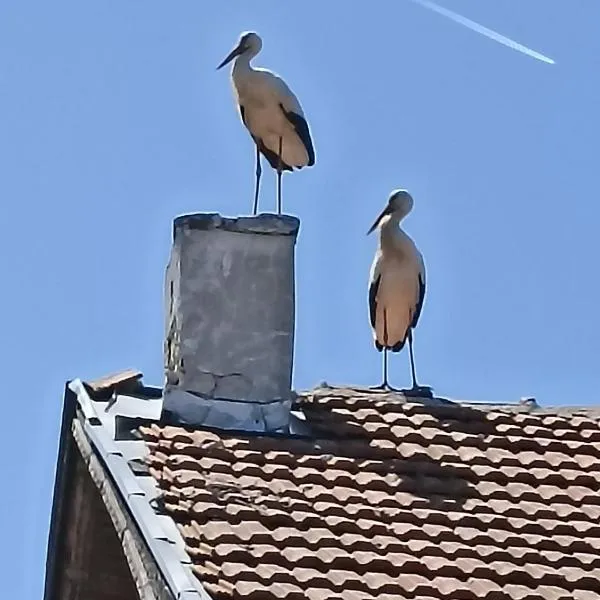 Къща за гости Пантови, Hotel in Gramatikovo