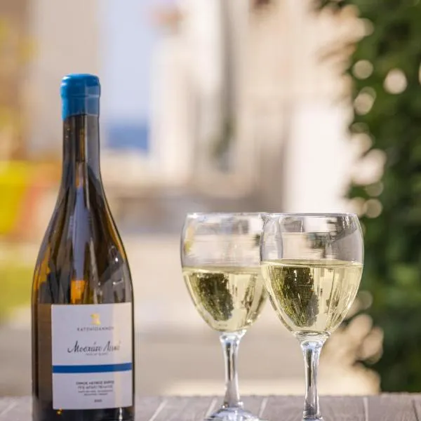 Fiera Luxury Apartments., ξενοδοχείο στο Κοκκάρι