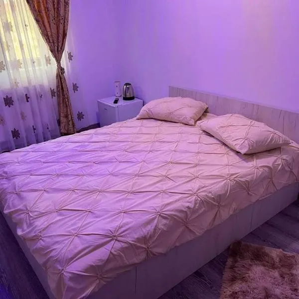 Pensiunea B C M, hotel in Malu Mare