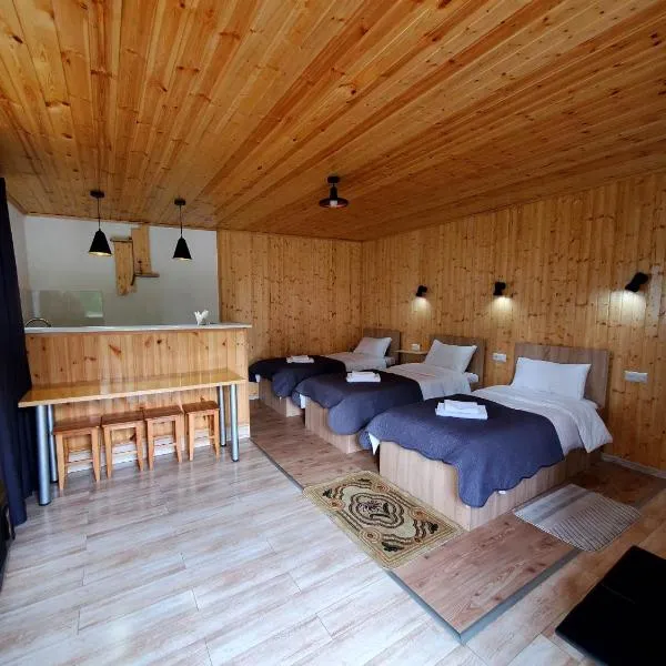 Cozy apartament โรงแรมในคัซเบกี