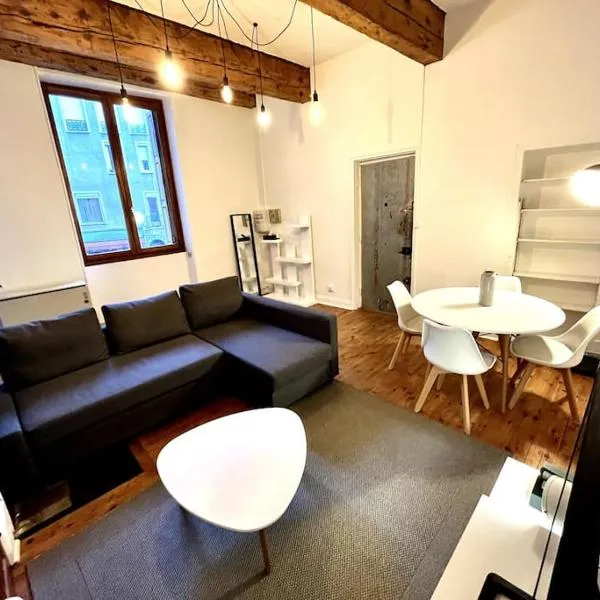 Grenoble Hypercentre - Appartement vieille ville - Wifi, hotel in Grenoble