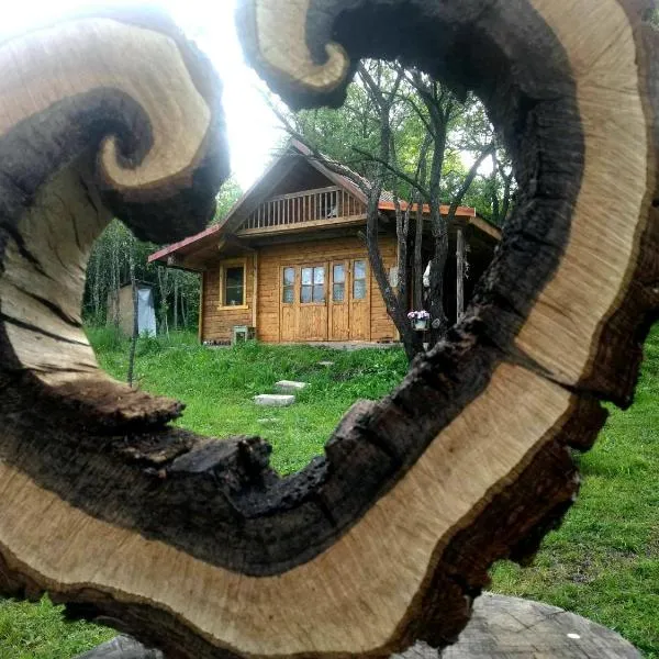 Hidden Garden Kide (Chidea), hôtel à Cluj-Napoca