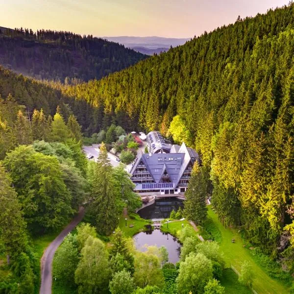 Jelenia Struga MEDICAL SPA, hotel in Kowary