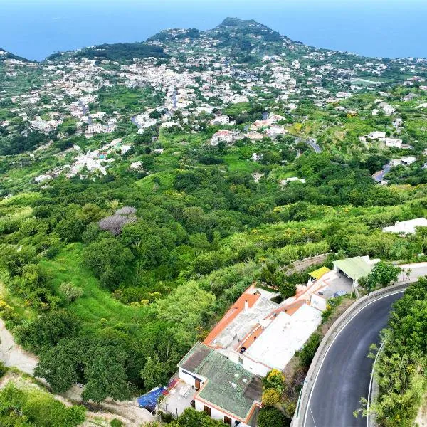 Villa Gesualda, hotel em Ischia