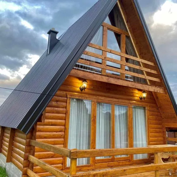 Villa Wood Borje, hotel in Žabljak