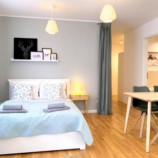 Moderne Ferienwohnung mit bodentiefer Dusche, Waschmaschine und Küche - "Hoffi", Leipzig