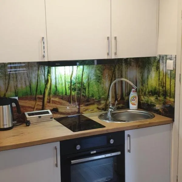 Apartament przy Starym Mieście, hotel in Elblag