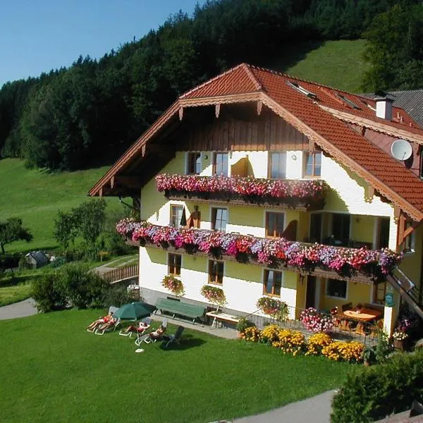 Gesundheitshof Lohninger, hotel in Mondsee