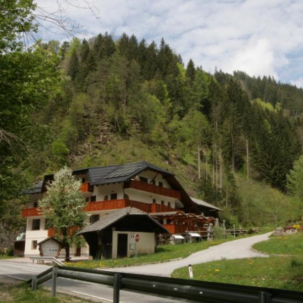 Guest House and Museum Firšt