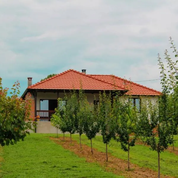 Villa Sladjana, hotel v destinaci Mladenovac