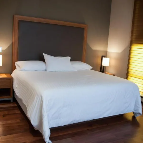 MBM Red Sun Hotel, hotel a Monterrey