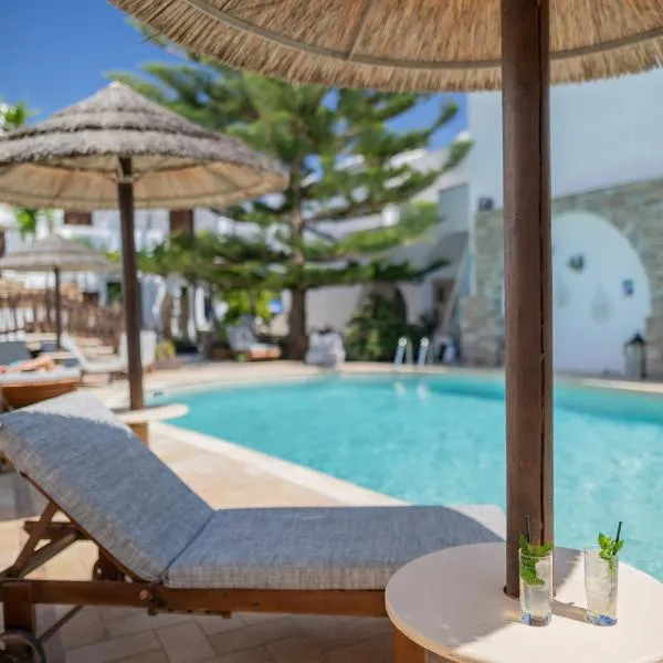 Anemomilos Beach hotel, hotel in Agia Anna Naxos