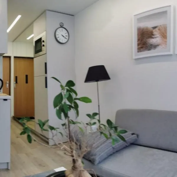 Šalia centro, hotel in Vilnius