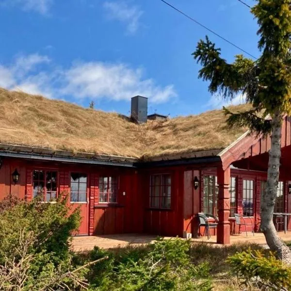 Large cabin with Sjusjøens best view, sauna and ski in out, hotel in Ringsaker