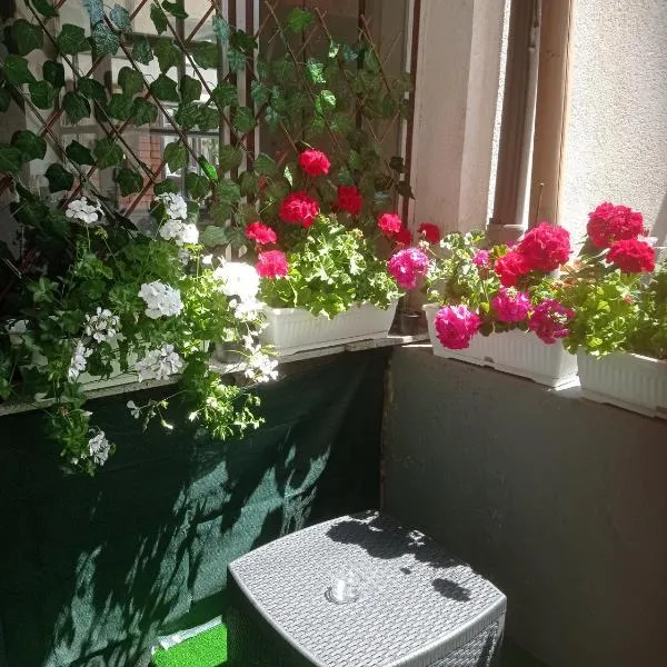 Viesnīca Studio apartman Sokak pilsētā Bihača