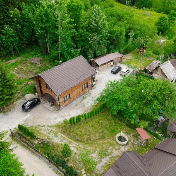 Cabana Vasc, Hotel in Borsa