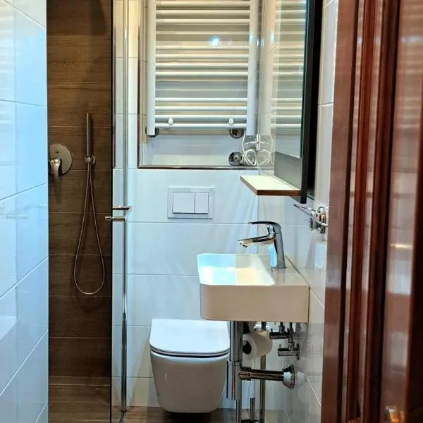 Studio apartman Olivera、ロヴィニのホテル