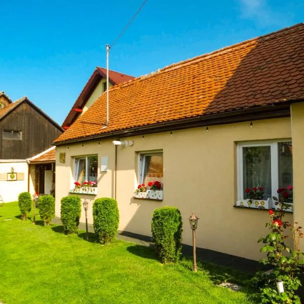 Casa JOY, hotel in Râşnov