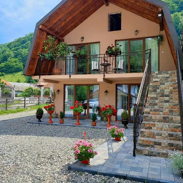 Casa de vacanta Estera Rucar, hotel in Rucăr