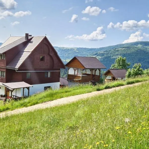 Pensiunea Amalia, hotell i Gîrda de Sus