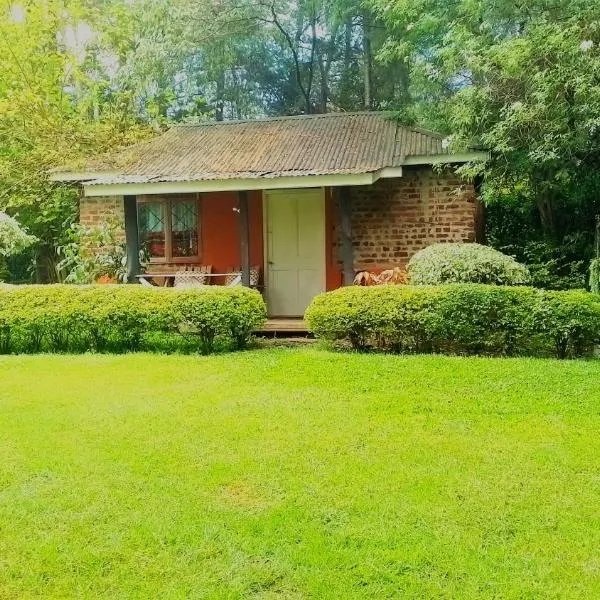 Steve's cottage-homely、ナニュキのホテル