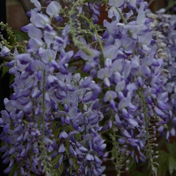 5 Charlton Mill Way B&B, hôtel à Chichester