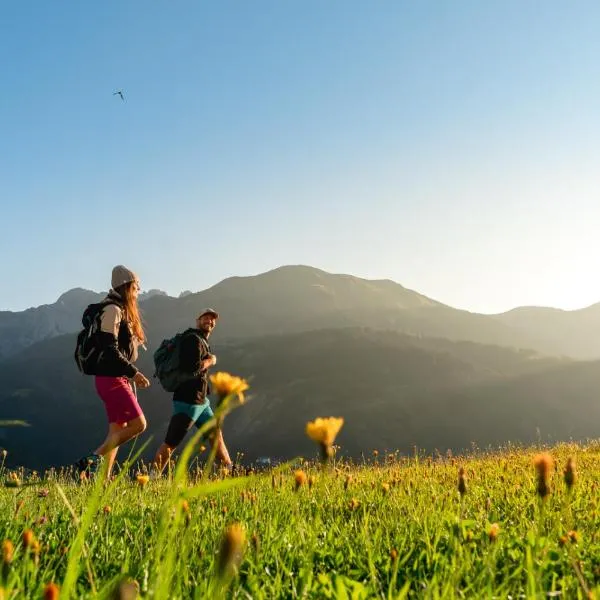Alpenhotel Wanderniki, hotel u gradu Liesing