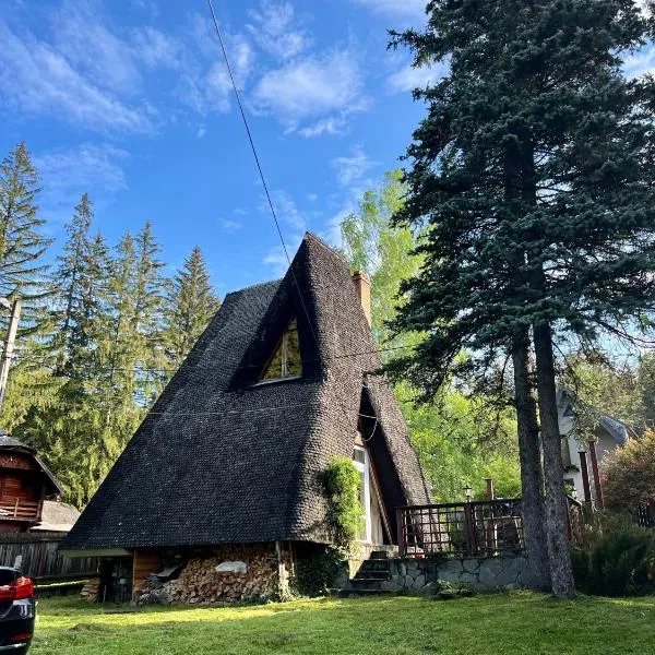 Mountain Getaway Cabin, ξενοδοχείο σε Cheia