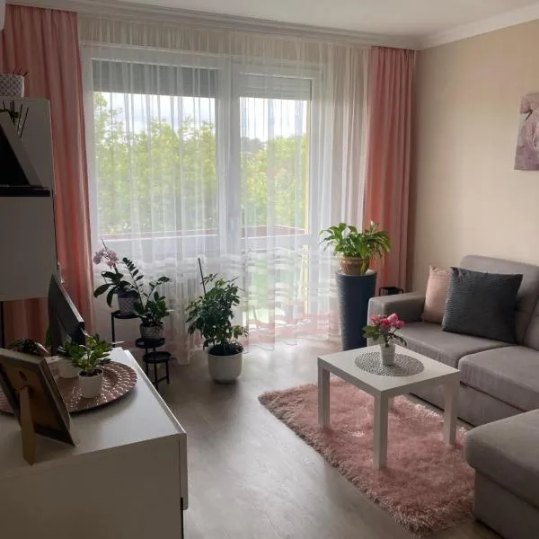 Sóstó Forest Apartman, hotel em Nyíregyháza