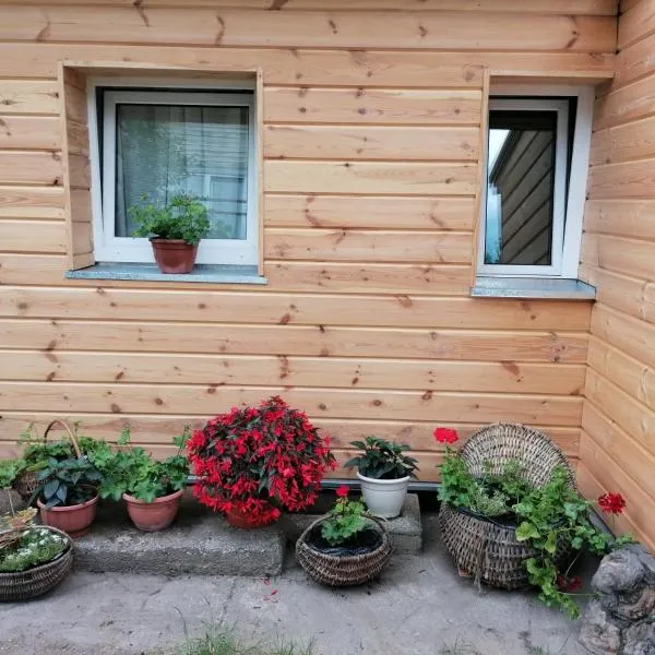 Jono Trobele, hotel in Druskininkai