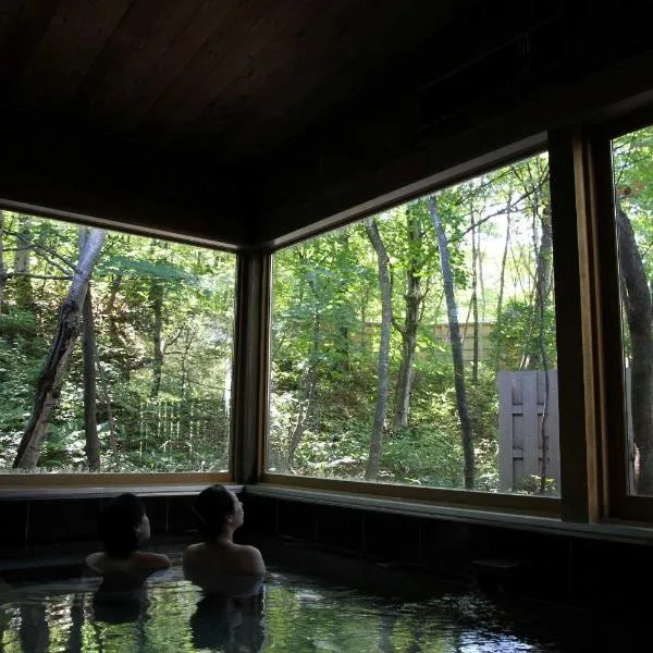 Nakaodaira, hotel in Takayama