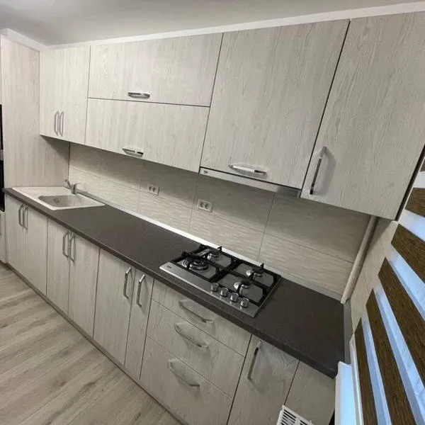 Apartament regim hotelier, ξενοδοχείο σε Caransebeş