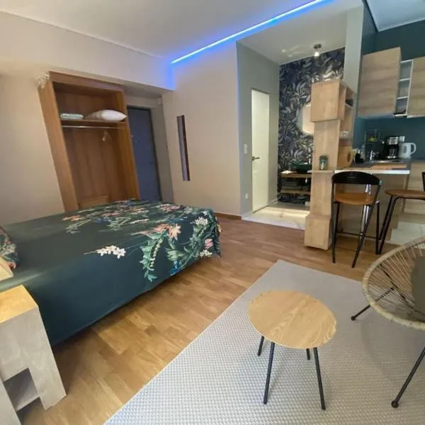 Studio for a couple, hotel i Athen