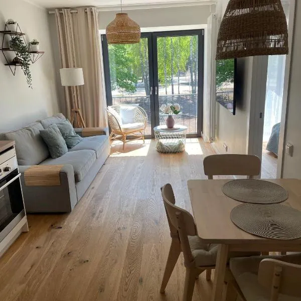 Albatross Beach Apartment - SPA, Sea and Forest, hotel in Ķesterciems